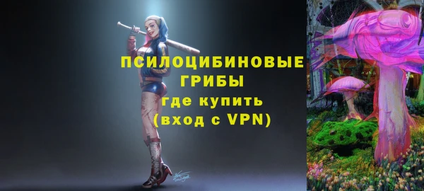 СК Аркадак