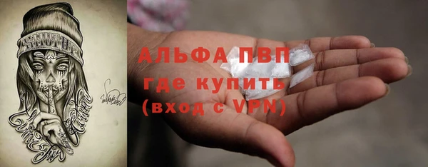 СК Аркадак